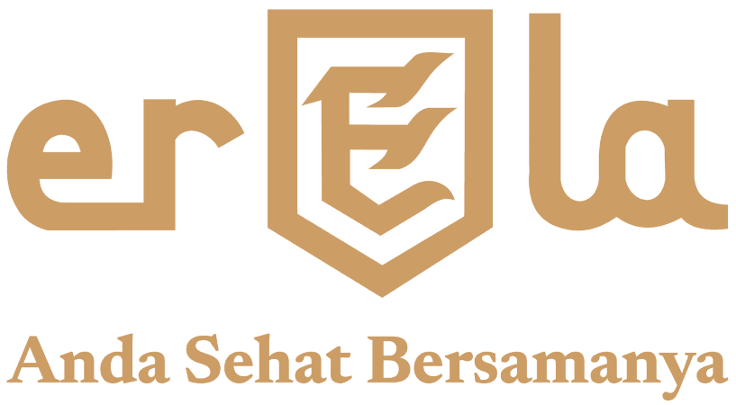 Logo PT Erela